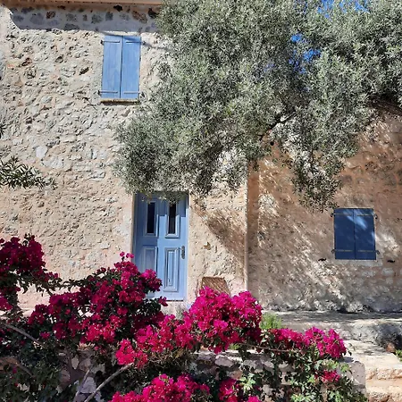 Mathilda's House * Tselendata